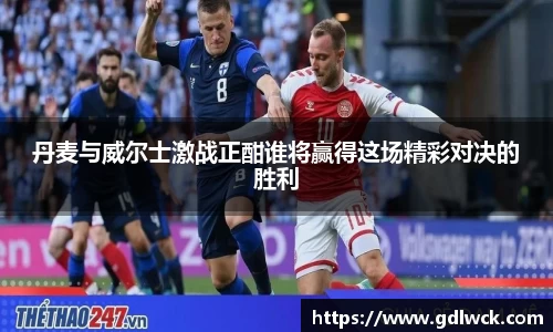 丹麦与威尔士激战正酣谁将赢得这场精彩对决的胜利